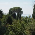 Auf dem Gelände Volsiniis mit Blick auf den Lago di Bolsena.