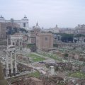 Blick aufs Forum Romanum in nördliche Richtung