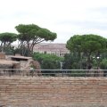 Palatin: Oben auf dem Domus Septimius Severus mit Blick auf das Colosseum