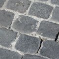Strassenpflaster auf der Piazza del Popolo