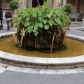 Brunnen in der Mitte des Cortile Ottagono im Museo Pio-Clementino