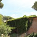 Bewachsenes Gebäude an der Domus Aurea im Parco del colle Oppio
