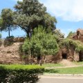 Mauerreste der Domus Aurea im Parco del colle Oppio (41°5328.1"N 12°2949.4"E)