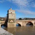 Ponte Milvio mit Hochwasser