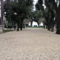 Im Park auf dem Pincio
