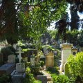 Auf dem Friedhof Cimitero Acattolico die Roma