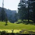 Giardino Vaticano