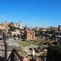 Palatin: Terrazza Belvedere del Palatino mit Blick aufs Foro Romano