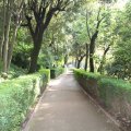 Die letzten Meter im Parco Villa Gregoriana