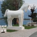 Cavallo bianco an der Corso Giuseppe Zanardelli