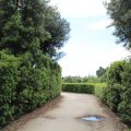 Giardino di Boboli