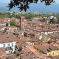 Blick Richtung NordNordOst vom Torre Guinigi auf Lucca. Mit der Chiesa SS. Paolino e Donato.