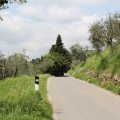 Via Pieve di Santo Stefano (43°5329.1"N 10°2640.0"E)