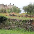 Monteriggioni