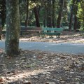 Im Park Pineta Di Ponente