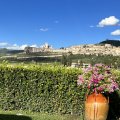 Assisi vom Garten des Hotel Unica Assisi Agri Charming House