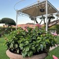 Garten des Hotel Unica Assisi Agri Charming House