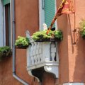 Selten am Canale Grande, pflanzenbestückte Balkone