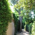 Im Giardino delle Vergini im Norden des Arsenale