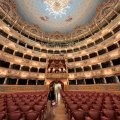 Der Theatersaal des Teatro la Fenice